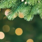 Christmas Party Catering With a Difference: Why Indian Fusion Works So Well for Festive Events