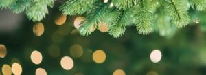 Christmas Party Catering With a Difference: Why Indian Fusion Works So Well for Festive Events